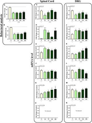 Blockade of CC Chemokine Receptor Type 3 Diminishes Pain and Enhances Opioid Analgesic Potency in a Model of Neuropathic Pain